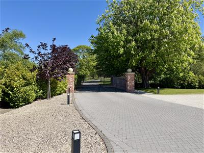 Picture 29